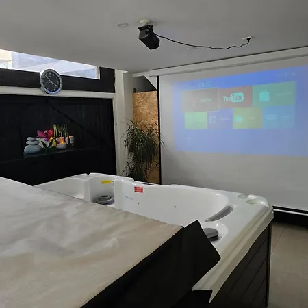 Appartement Green Venice House Colmar - SPA, Sauna&Cinema Colmar
