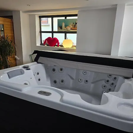 Green Venice House Colmar - SPA, Sauna&Cinema Appartement Colmar
