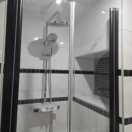 Appartement Green Venice House Colmar - SPA, Sauna&Cinema