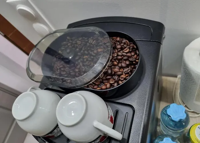 Les Hirondelles 69 Apartment *