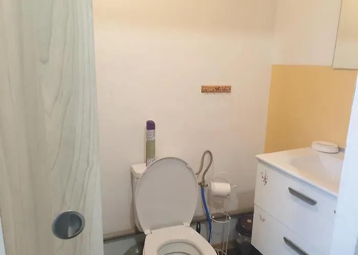 Les Hirondelles 69 Colmar