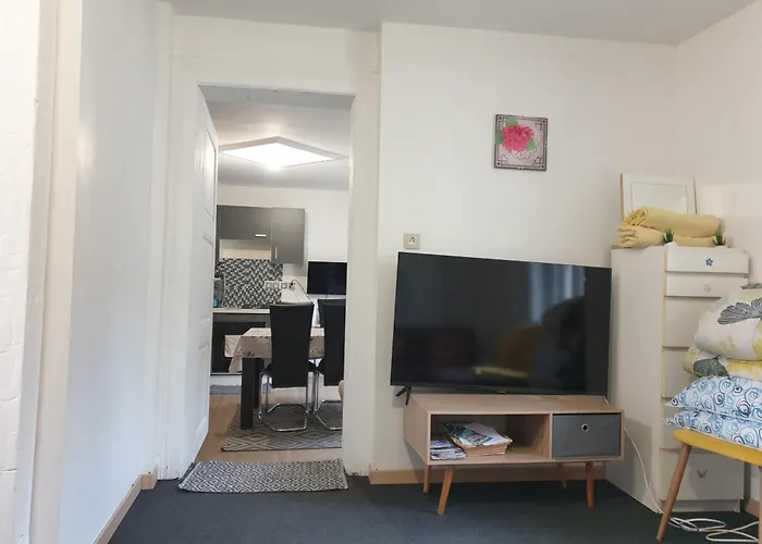 Les Hirondelles 69 Apartment *